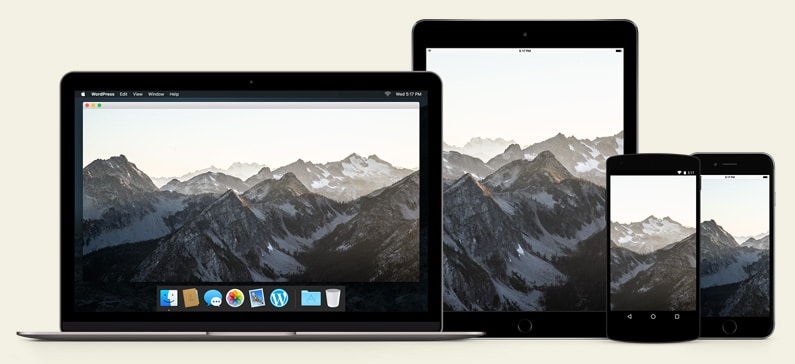 Imágenes adaptables en WordPress 4.4