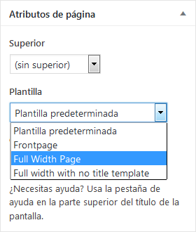 Zerif Lite - Página de ancho completo