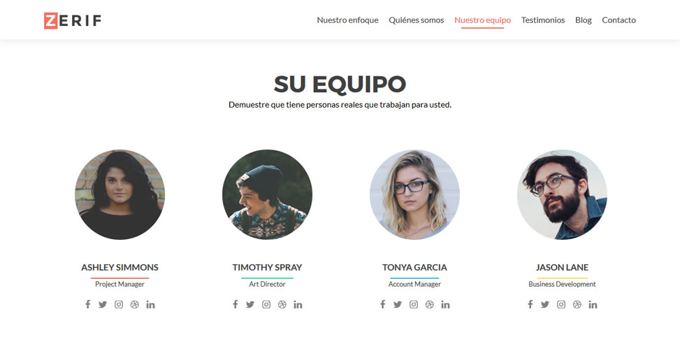 Zerif Lite - Iconos de miembro de equipo