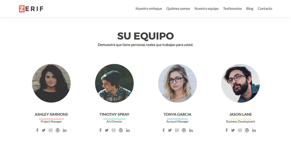 Zerif Lite - Otros iconos de miembro de equipo