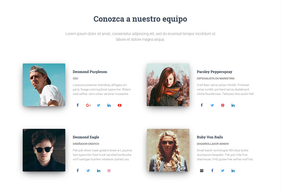 Hestia - Sección Equipo