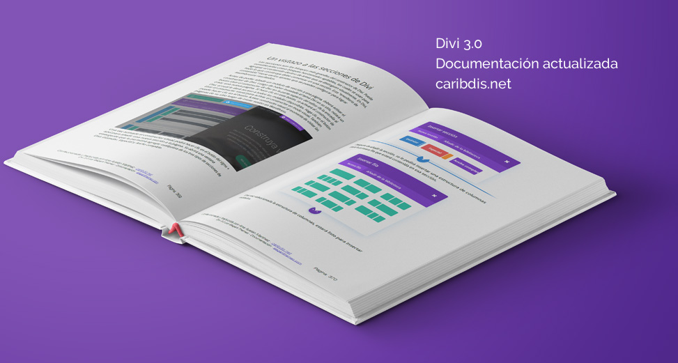 Divi - Documentación - Manual