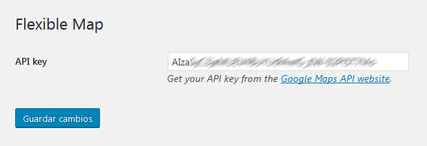 Flexible Map - Guardar clave API