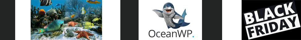 OceanWP - Black Friday 2019