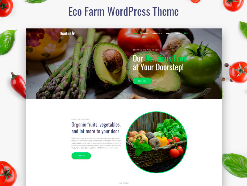 Tema De WordPress Ecolus - Organic Food Delivery ECommerce Modern Elementor