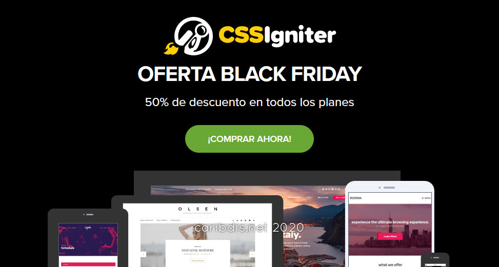 CSS Igniter Black Friday